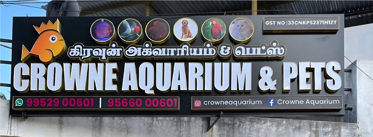 Flex Banner Example